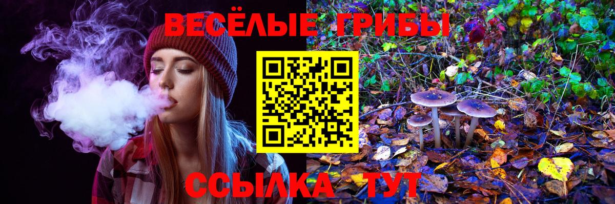 Псилоцибиновые грибы прущие грибы  цены наркотик  Конаково  Вход с VPN  Псилоцибиновые грибы MAGIC MUSHROOMS 